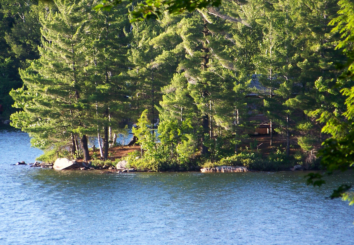 Camping by the lake surrounded by trees on a nice clear day