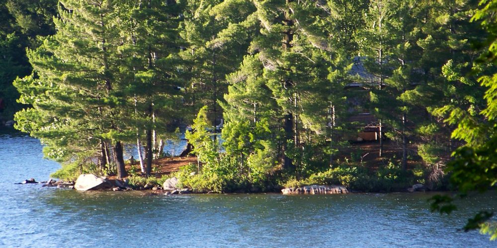 camp upd Camping by the lake surrounded by trees on a nice clear day